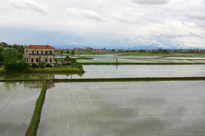 Venti milioni per investimenti irrigui in Piemonte