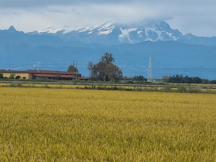 E’ tempo di riso al G7 dell’Agricoltura