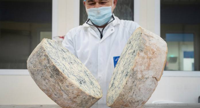 Gorgonzola, la marcia del “piccante”