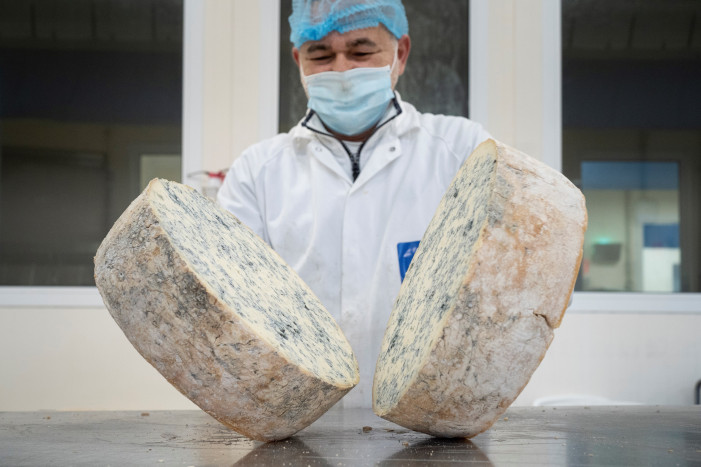 Gorgonzola, la marcia del “piccante”